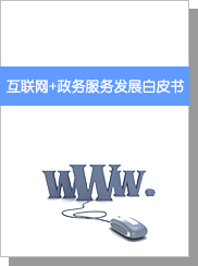 互聯(lián)網(wǎng)+政務(wù)服務(wù)發(fā)展白皮書