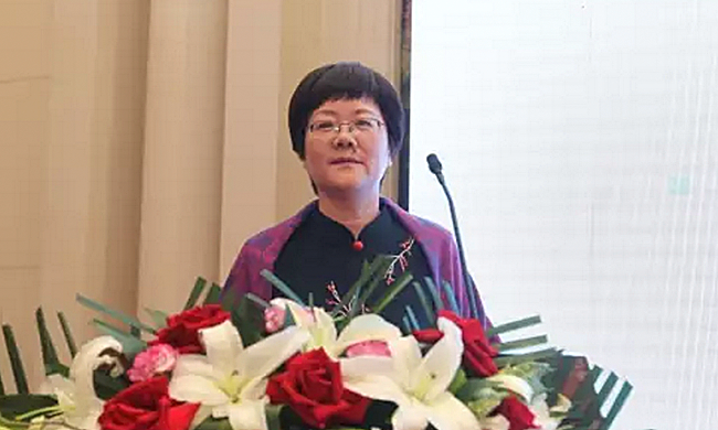 在“2017吉林省智慧政務建設與服務創(chuàng)新論壇暨‘互聯(lián)網(wǎng)+政務服務’建設研討會”上，國脈互聯(lián)總經(jīng)理、首席規(guī)劃師鄭愛軍以《大數(shù)據(jù)背景下政務服務發(fā)展思考》為主題發(fā)表演講。
