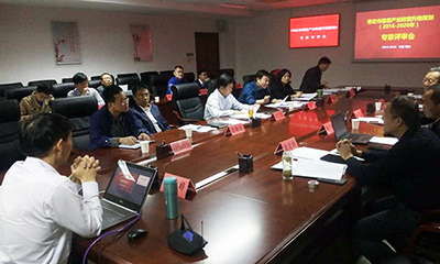 《棗莊市信息產(chǎn)業(yè)轉(zhuǎn)型升級(jí)規(guī)劃（2016-2020年）》 順利通過(guò)專(zhuān)家評(píng)審