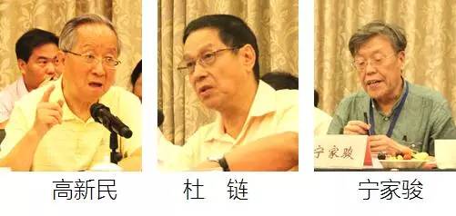 在中國(guó)智慧城市發(fā)展與評(píng)估指標(biāo)體系建設(shè)專家研討會(huì)上，中國(guó)互聯(lián)網(wǎng)協(xié)會(huì)副理事長(zhǎng)高新民、中國(guó)信息協(xié)會(huì)副會(huì)長(zhǎng)杜鏈、國(guó)家信息中心電子政務(wù)專家委員會(huì)主任寧家駿發(fā)言