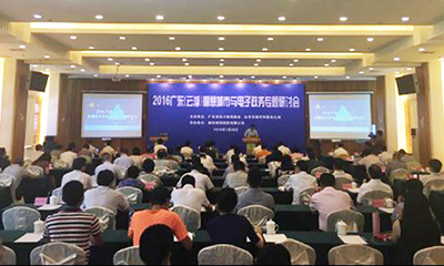 國(guó)脈專(zhuān)家鄧凱出席2016廣東云浮智慧城市與電子政務(wù)專(zhuān)題研討會(huì)