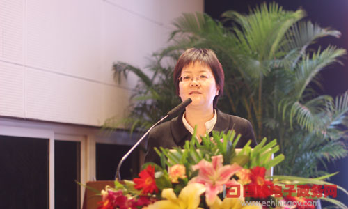 在"2014中國智慧政府發(fā)展年會"上，國脈互聯(lián)總經(jīng)理、首席規(guī)劃師鄭愛軍發(fā)表主題演講