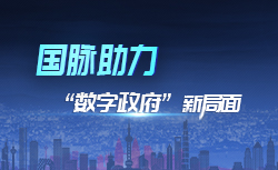 專題 | 國脈助力“數字政府”新局面